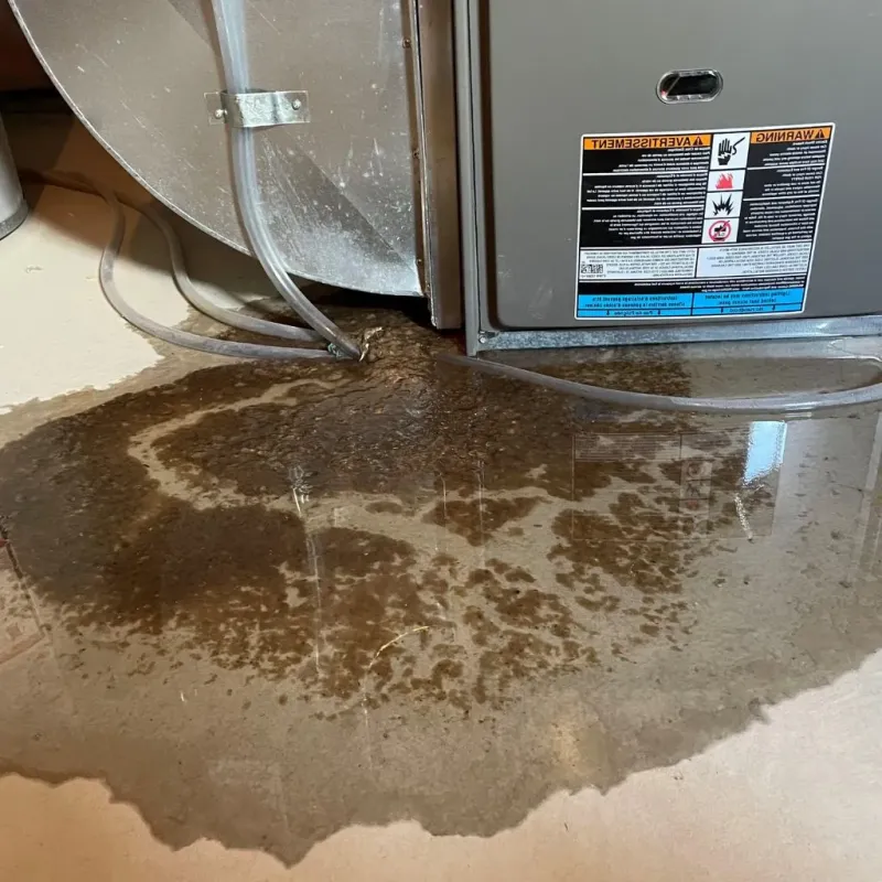 Pipe Burst and Leak Restoration in Batesville, IN